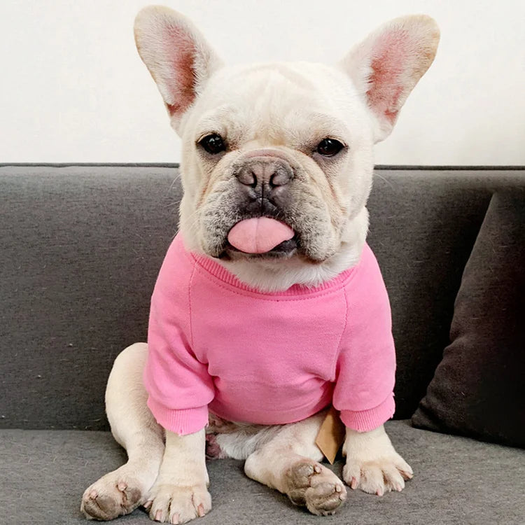 Moletom Com a Foto do Seu Animal de Estimação | Bordada Personalizada Para Você e Seu Pet