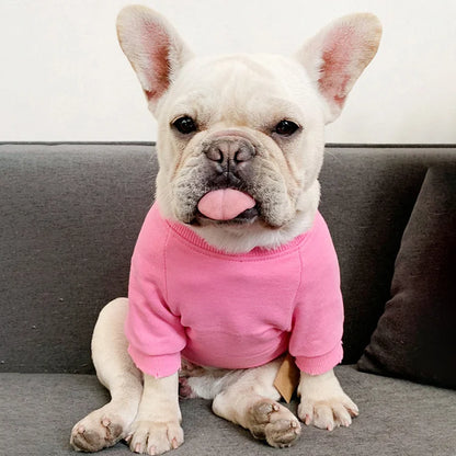 Moletom Com a Foto do Seu Animal de Estimação | Bordada Personalizada Para Você e Seu Pet