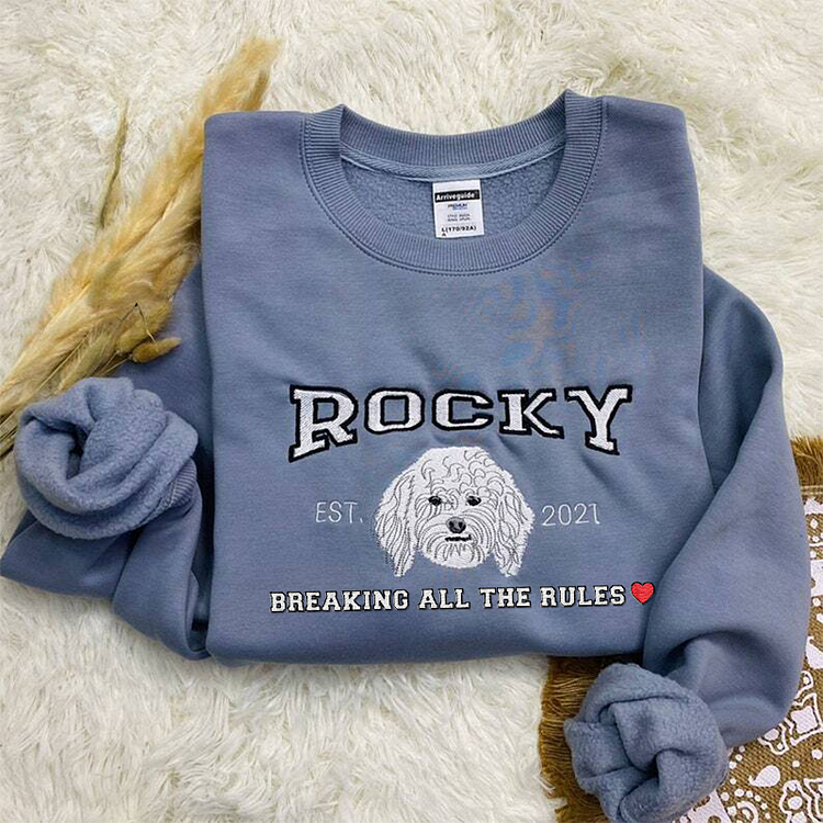 Camiseta e Moletom Personalizado In My Dog Mom Era | Nome e Rosto do Pet Estilo College