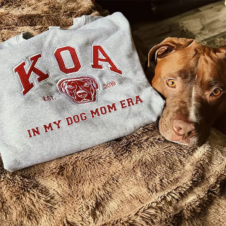 Camiseta e Moletom Personalizado In My Dog Mom Era | Nome e Rosto do Pet Estilo College