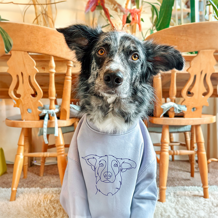 Suéter Personalizada com o Desenho do seu Pet
